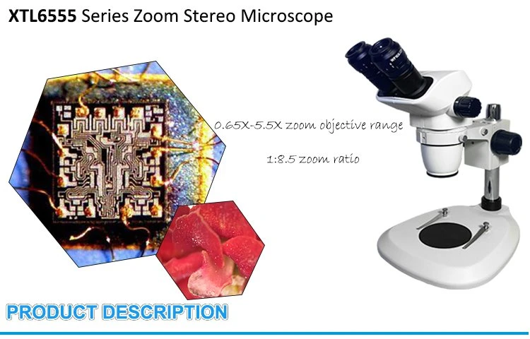 China dissecting binocular zoom stereomicroscope for sale