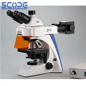 Microscópio Biológico Fluorescente