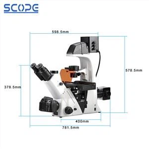 Microscopia Biológica de Fluorescência Invertida Trincoular