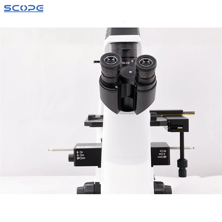 Inverted Fluorescence Microscope For Cell Culture